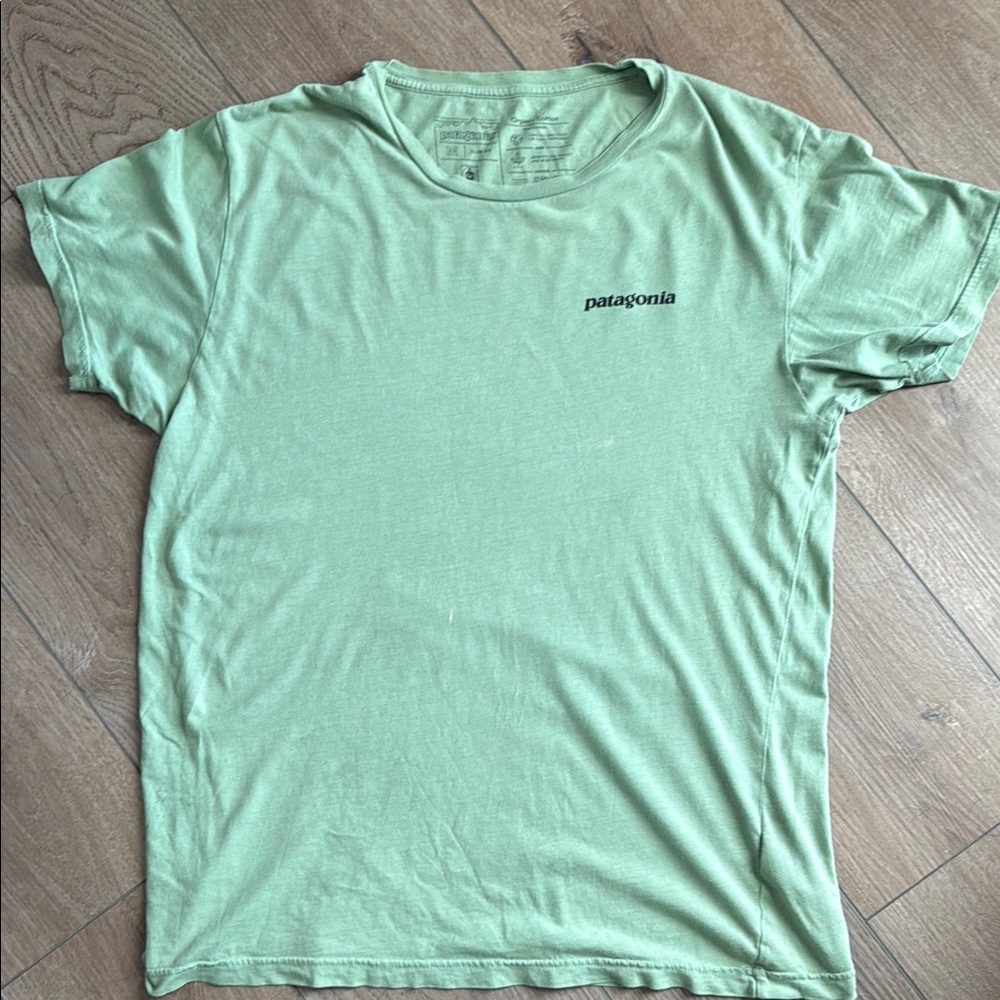 Men’s M Patagonia Green T-Shirt